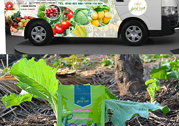 Untitled-1-Recovered