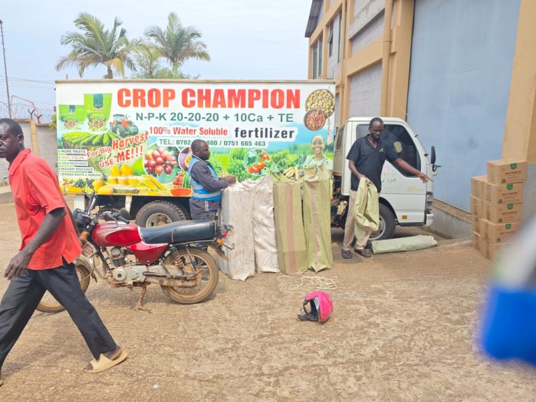 WhatsApp Image 2025-11-13 at 11.31.03