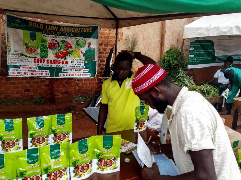 WhatsApp Image 2025-11-13 at 11.31.12 (4)