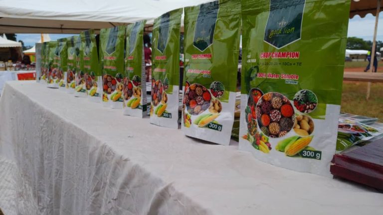 WhatsApp Image 2025-11-13 at 11.31.15