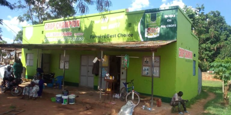 WhatsApp Image 2025-11-13 at 11.31.16 (3)