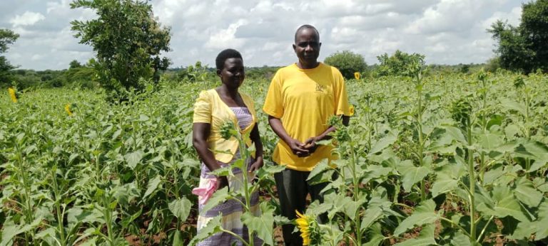 WhatsApp Image 2025-11-13 at 11.31.22 (1)