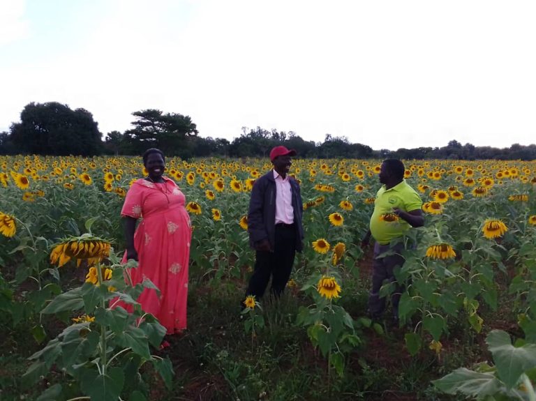 WhatsApp Image 2025-11-13 at 11.31.22